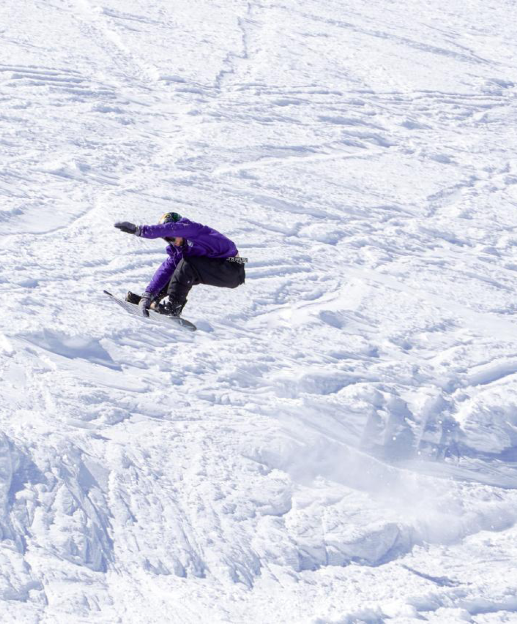 Hoodie SNOW FREE FAM Logo Morado